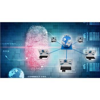 河北官方网络推广服务解析 客户至上的罗卜特科技信息技术