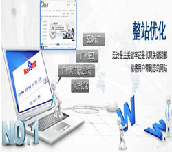 东莞市米可信息技术有限公司 一站式网络营销解决方案的领航者